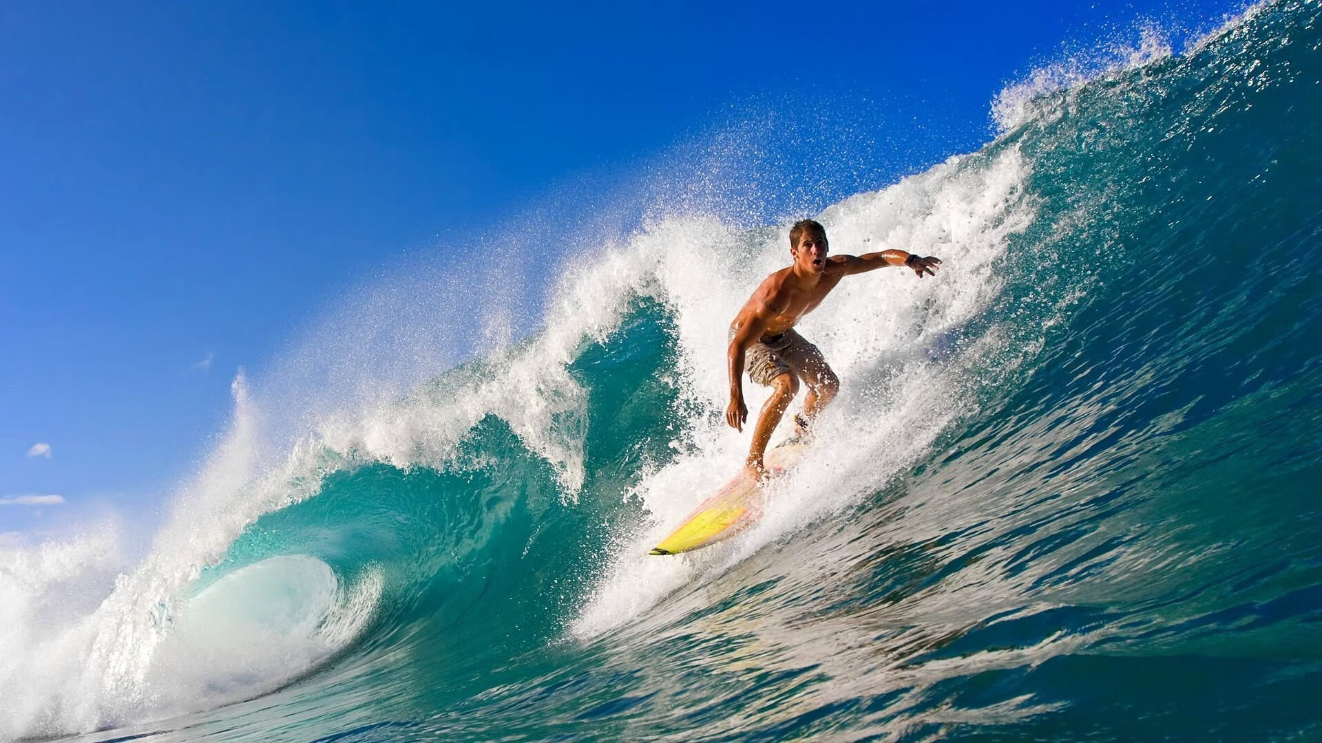 谁能在国际赛事中吸引最多的观众和媒体关注？，国际知名赛事